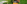 Header Traflux News.png
